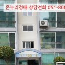 부산광역시 영도구 중리로 이미지