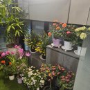 가온 | 광나루 맛집 광장동 가온 후기