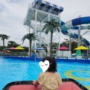 옥토끼 어린이공원 | 옥토끼우주센터 주말 가족 나들이, 강화도 아이와 가볼만한곳 추천