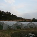 성하농장 이미지