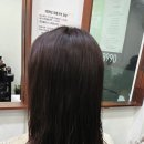 에스에스트리