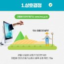 법무법인청우 이미지
