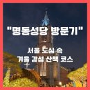 당고개분식 | “명동성당 방문기" – 서울 도심 속 겨울 감성 산책 코스