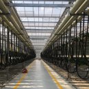 팜플러스 이미지