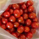 사비농장 | 오야야조혜진 대추방울토마토 3kg 후기