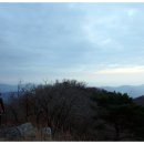 원동천 티스토리