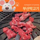 시래쿡 | 동래구 안락동 저렴하게 한우파티 가능한 부산막고기! +주차정보