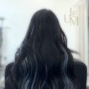 이음붙임머리 - 세종특별자치시 한누리대로 321 | 이음붙임머리