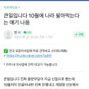 지역카페에 8월에 윤 관련해서 이런 글 올라왓엇네... 이미지