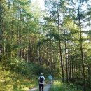 (주)옥서스 이미지