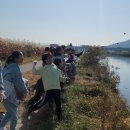 명촌초교 이미지