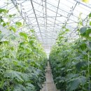 웅포농장 이미지