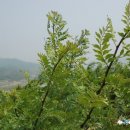 김종배농장 이미지