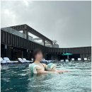 올레리조트 | 제주도 신상 수영장 리조트 엠버퓨어힐 신관 올레 트윈룸 가격 후기