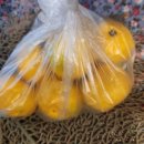 금동살롱 이미지