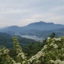 형제사슴목장 이미지