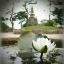 바라밀 - 경주시 기림로 101-5 | 바라밀