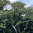 머큐어 앰배서더 제주 이미지