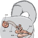서동 동물메디컬센터 이미지