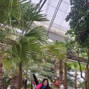 서울댄스스포츠학원 이미지