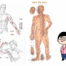 한의학- 한의학에서 침을 놓는 자리는 '경혈(經穴)' 이라고 하는데요, 이미지