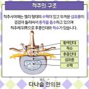 명지365다나슬한의원 이미지