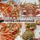경북 영덕대게맛집 센타42호 저렴하게 할인 받아 먹는 꿀팁