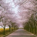 정수수산 이미지