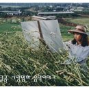 젊은날의수채화 이미지