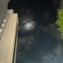 [2024/후쿠오카] 혼자 알차게 즐긴 후쿠오카 여행(2-3) - 텐진 쇼핑몰과 식당가를 요기조기 보기기기!