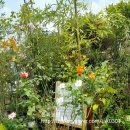 동화조경농원 이미지