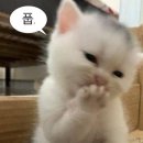인계동 헌팅 명소 삼거리포차-별밤-아리랑
