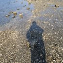 숲속파도소리 이미지