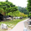 청정청소년수련원 이미지