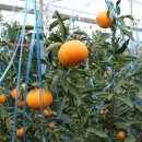 김재철농장 이미지