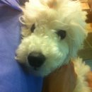 청담아이윌동물병원 이미지