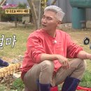 개밥그릇 이미지