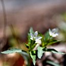 이마당약수터 이미지