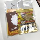 [주말일기] 케일페 다녀온 간단 후기!