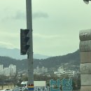 열매랑 뿌리랑 약초산나물 뷔페 | 함께 급 떠난 산청여행(수선사/카페수선사/동의보감촌/열매랑뿌리랑약초산나물뷔페/남사예담촌/의령일붕사)