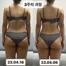 짐쉐이프 이미지