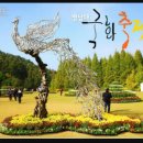 11월 11일(토) 테마여행은 청남대(국화축제)와 세종 호수공원으로 떠나 볼까요♡ 이미지