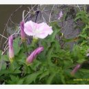 하루의풍경 이미지