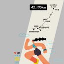 2024년 10월6일 일요일 안동마라톤대회(풀, 하프, 10km, 5km)_신청기간 9월20일까지_신청자 댓글필수 이미지