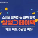 세븐일레븐평택뉴코아점 | 상생 페이백 0원인 이유와 대처 방안 상생페이백 후기