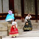 포토기행 비운의 역사속 서울 창경궁의 여인들과 늦가을속 궁궐의 단풍과 낙엽기행 이미지