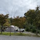 율곡 | 서울 근교 파주 율곡캠핑장 C사이트 2, 3번 내돈내산 후기