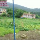 보길면-3 이미지