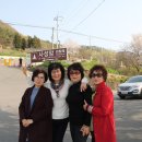 월등파크호텔 이미지
