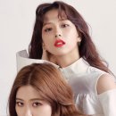 로제 이미지